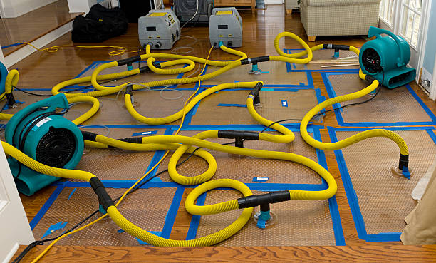 Professional Basement Flood Cleanup technician working in North Carolina, NC